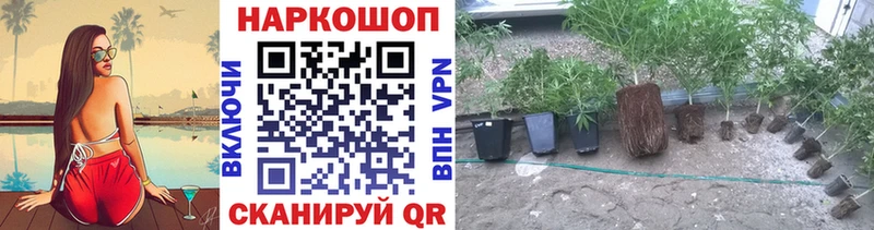Наркошоп купить ГАШ  Канабис  Alpha-PVP  Мефедрон  АМФ  Cocaine  Энем