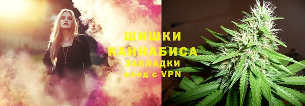 дживик Гусиноозёрск