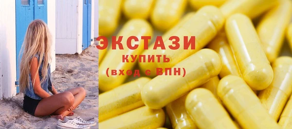 ECSTASY Гусь-Хрустальный