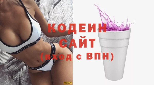 ECSTASY Гусь-Хрустальный