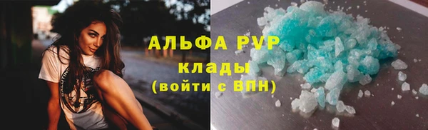 Альфа ПВП Гусев