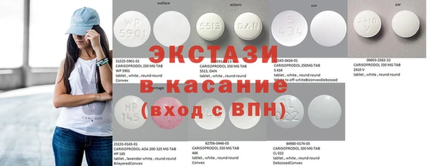 ECSTASY Гусь-Хрустальный