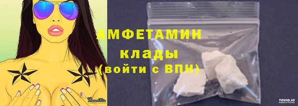 ECSTASY Гусь-Хрустальный
