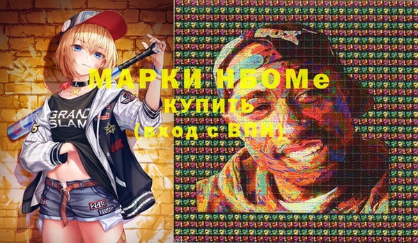 ECSTASY Гусь-Хрустальный