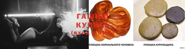 Альфа ПВП Гусев