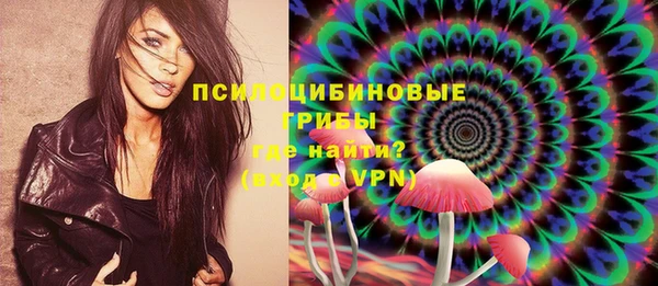 ECSTASY Гусь-Хрустальный
