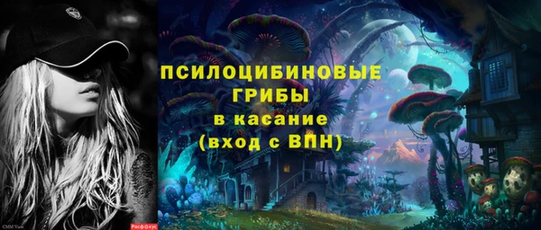 Альфа ПВП Гусев