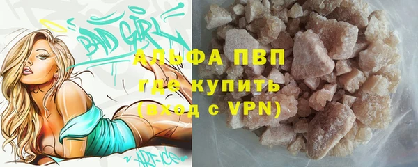 Альфа ПВП Гусев