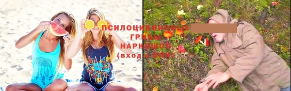 Альфа ПВП Гусев