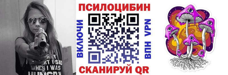 Купить закладки  Энем  Галлюциногенные грибы Psilocybine cubensis 
